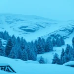 Avalanche Treasury Stock Slides 38% in Rocky Nasdaq Trading Debut