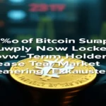 79% of Bitcoin Supply Now Locked by Long-Term Holders. Analyst Sees Bear Market Nearing Exhaustion