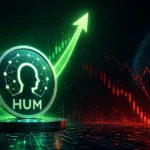 Humanity Protocol Token Soars 210% to Lead Crypto Market Gainers