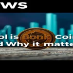 What is Bonk Coin and Why it Matters on Solana