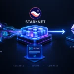 Starknet Rollup Explained for New Users